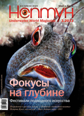 Обложка книги «Нептун №3/2013»