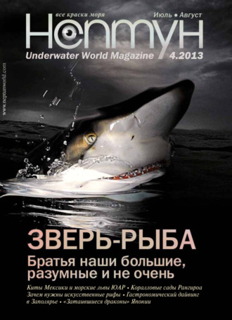 Обложка книги «Нептун №4/2013»
