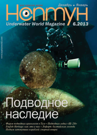 Обложка книги «Нептун №6/2013»