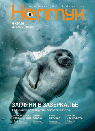 Обложка книги «Нептун №6/2016»