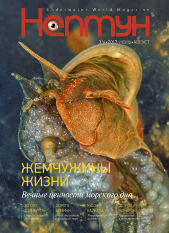 Обложка книги «Нептун №3-4/2017»