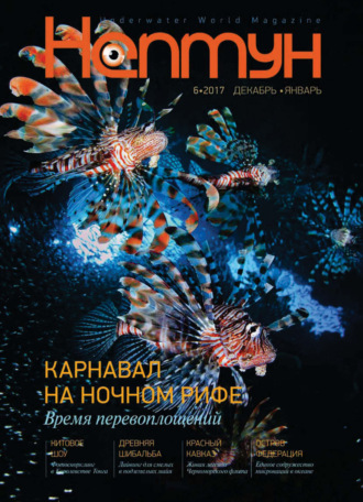 Обложка книги «Нептун №6/2017»