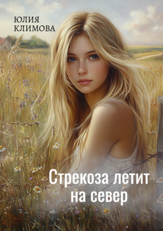 Обложка книги «Стрекоза летит на север. Часть 1»