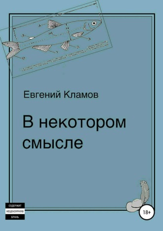 Обложка книги «В некотором смысле»