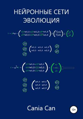 Обложка книги «Нейронные сети. Эволюция»
