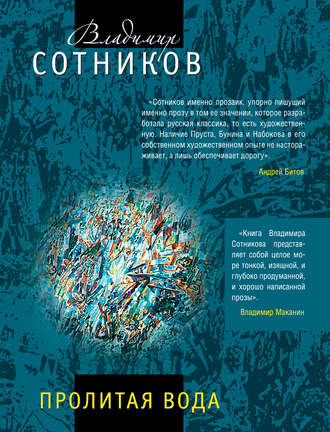 Обложка книги «Пролитая вода»