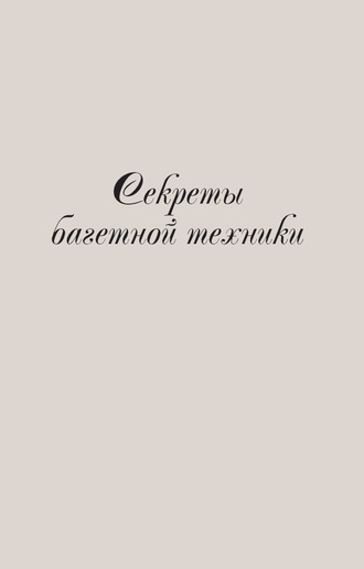 Группа авторов. Секреты багетной техники