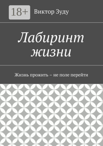 Виктор Зуду. Лабиринт жизни