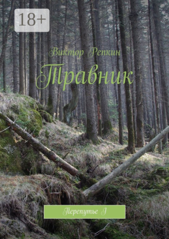 Обложка книги «Травник. Перепутье I»