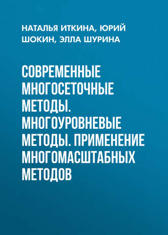 Обложка книги «Современные многосеточные методы. Многоуровневые методы. Применение многомасштабных методов»