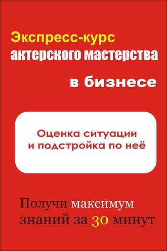 И. В. Мельников. Оценка ситуации и подстройка под неё