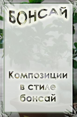 Обложка книги «Композиции в стиле бонсай»