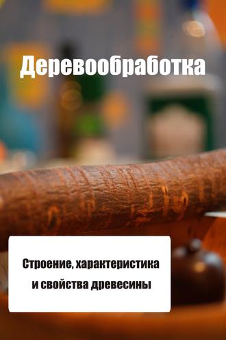 Обложка книги «Строение, характеристика и свойства древесины»