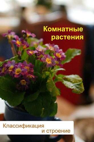 Обложка книги «Комнатные растения. Классификация и строение»