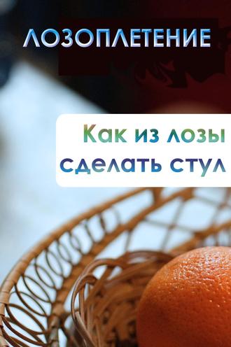 Обложка книги «Как из лозы сделать стул»