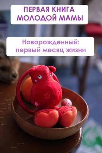 Обложка книги «Новорождённый: первый месяц жизни»