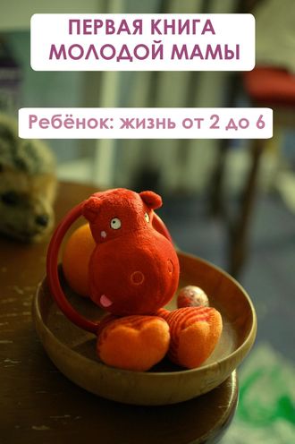 Обложка книги «Ребёнок: жизнь от двух до 6»