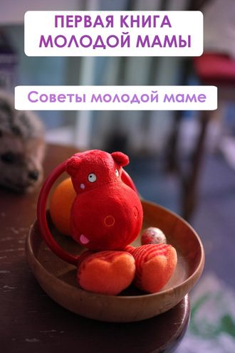 Обложка книги «Советы молодой маме»