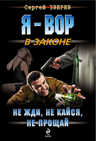 Обложка книги «Не жди, не кайся, не прощай»