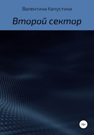 Валентина Капустина. Второй сектор