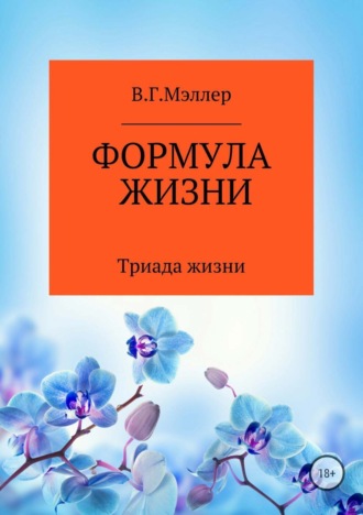 Обложка книги «Формула жизни»