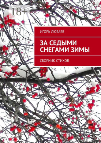 Обложка книги «За седыми снегами зимы. Сборник стихов»