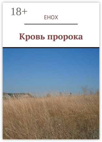Обложка книги «Кровь пророка»