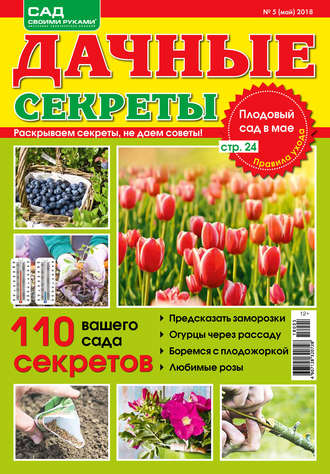 Обложка книги «Сад своими руками. Дачные секреты №5/2018»