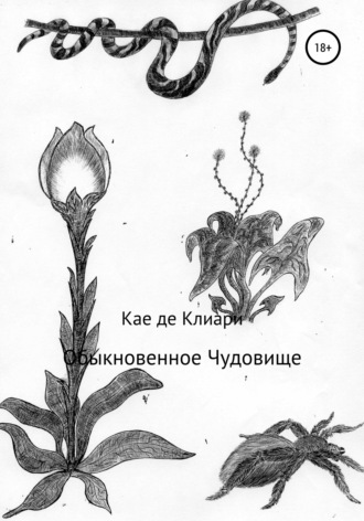 Обложка книги «Обыкновенное Чудовище»