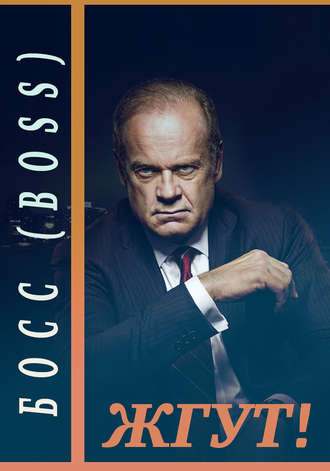 Обложка книги «Босс (Boss). Жгут!»
