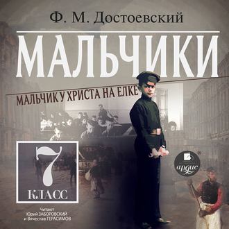 Обложка книги «Мальчики. Мальчик у Христа на ёлке»