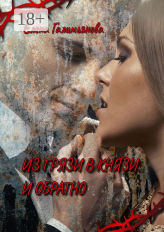 Обложка книги «Из грязи в князи и обратно»