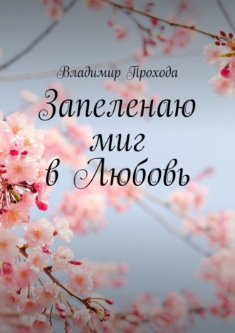 Обложка книги «Запеленаю миг в Любовь»