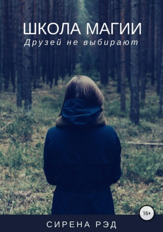 Обложка книги «Школа магии, или Друзей не выбирают»