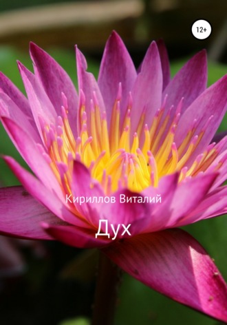 Обложка книги «Дух»