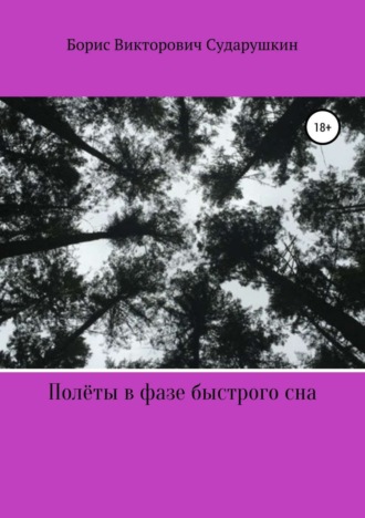 Обложка книги «Полёты в фазе быстрого сна»