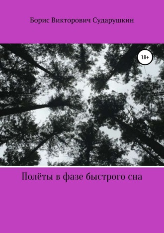 Борис Викторович Сударушкин. Полёты в фазе быстрого сна