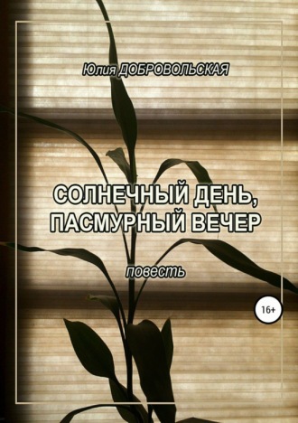 Обложка книги «Солнечный день, пасмурный вечер»