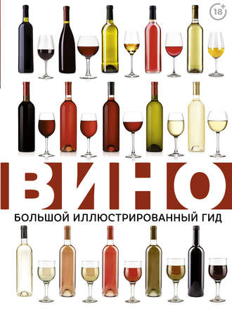 Обложка книги «Вино. Большой иллюстрированный гид»