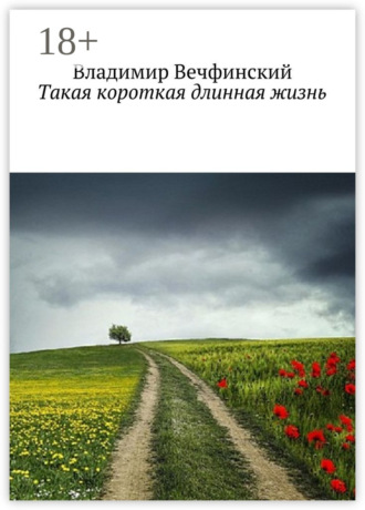 Владимир Вечфинский. Такая короткая длинная жизнь