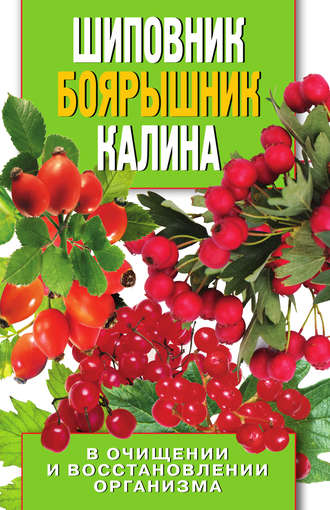 Обложка книги «Шиповник, боярышник, калина в очищении и восстановлении организма»