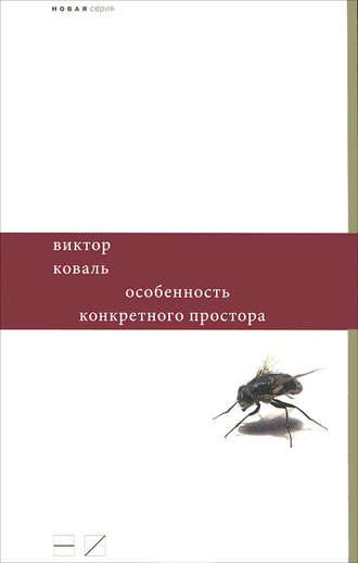 Виктор Коваль. Особенность конкретного простора