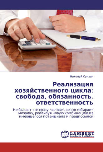 Обложка книги «Реализация хозяйственного цикла: свобода, обязанность, ответственность»