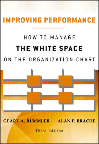 Brache Alan P.. Improving Performance. How to Manage the White Space on the Organization Chart