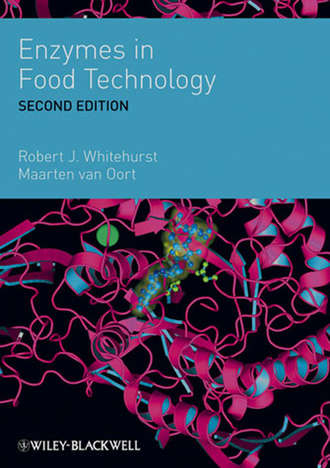 Oort Maarten Van. Enzymes in Food Technology