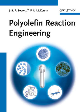 McKenna Timothy F.L.. Polyolefin Reaction Engineering