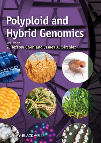 Chen Z. Jeffrey. Polyploid and Hybrid Genomics