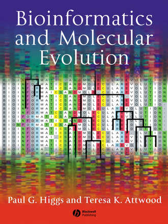 Higgs Paul G.. Bioinformatics and Molecular Evolution