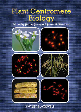 Jiang Jiming. Plant Centromere Biology