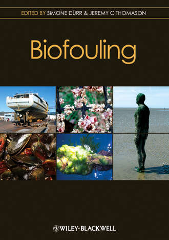 Thomason Jeremy C.. Biofouling